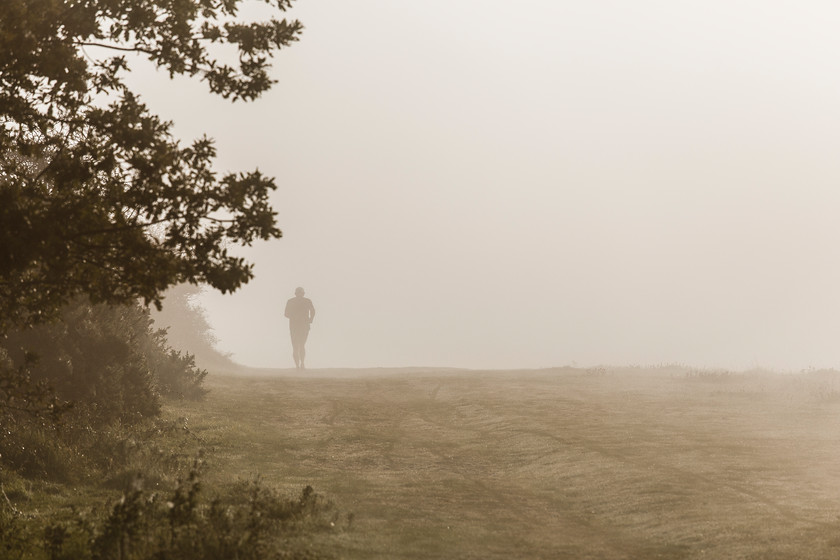 Runner in the mist 
 Keywords: Black Cap