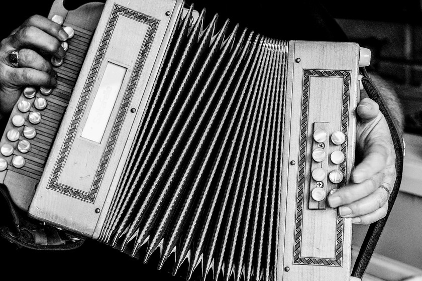 Melodeon 
 Keywords: Maldwyn, melodeon