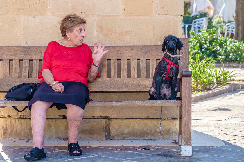 People-1023 
 Keywords: Honeymoon, Malta, dog, gesticulate, street, woman