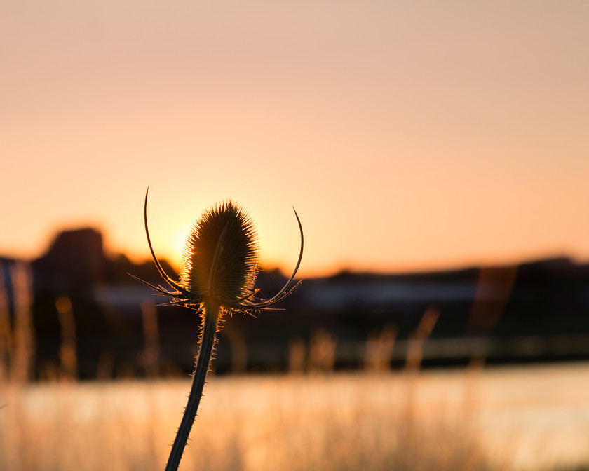 Lancing College Chapel 5 
 Keywords: Adur, College, River, lancing, reflection, sunset